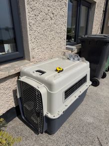 dog crate