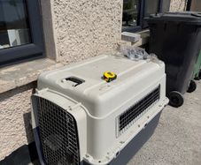 dog crate