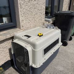 dog crate