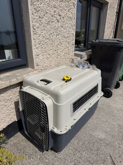 dog crate
