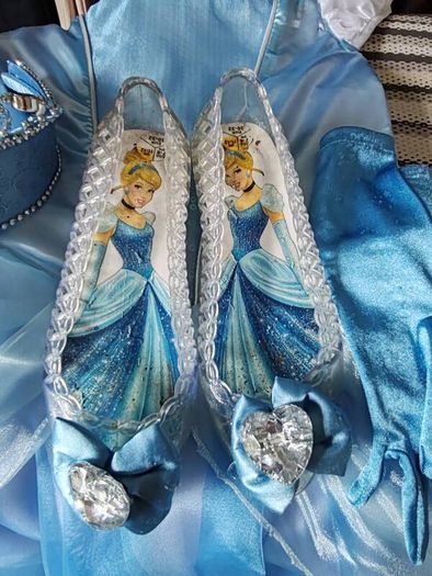 Disney princess costume, reversible
