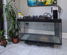 Juwel Rio 350 Aquarium