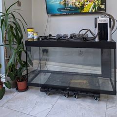 Juwel Rio 350 Aquarium