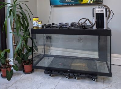 Juwel Rio 350 Aquarium