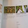 Fairy Art / Painting Magical Fairies & Their World/in Acrylic/ David Adams/ 2009/1st edition Image 6
