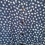 Beautiful Dress, Never Worn Image 6