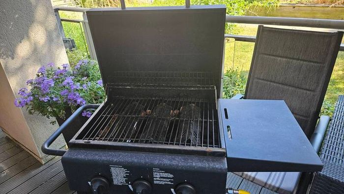 Free Bbq 3 Burner Gas