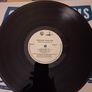 Sex Pistols - Never Mind the Bollocks  - 1977 Canada pressing Image 3