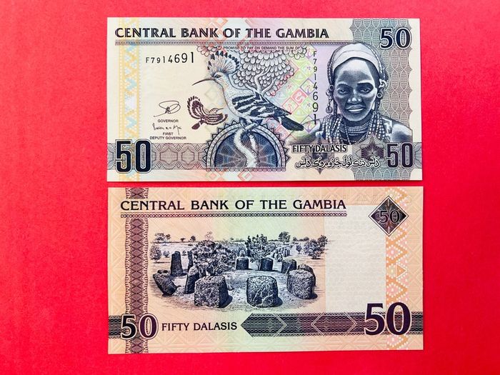Gambia. 50   Dalasis. 2013   Pick  28c. ( Uncirculated )