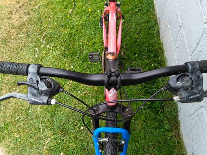 Torpado Storm Mountain Bike (Adult)