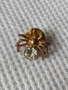 Pin/brooch