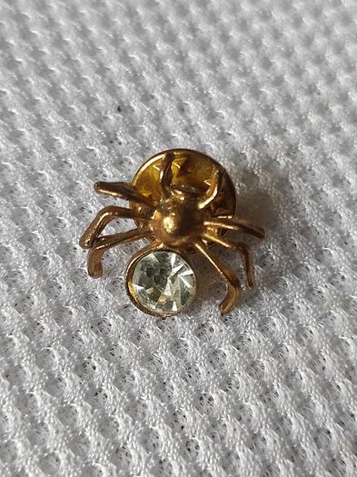 Pin/brooch
