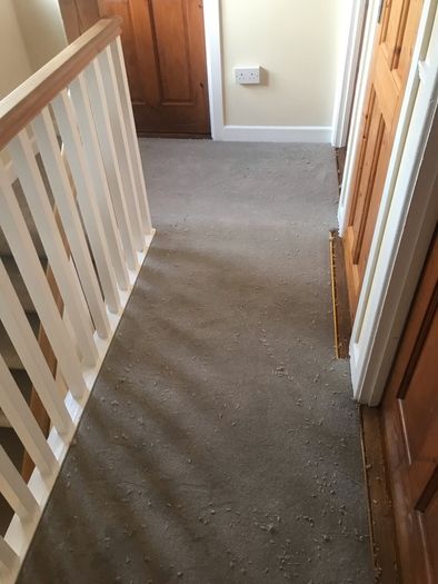 Carpet
