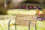 Garden Bench Park Bench Wood