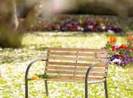 main image for ad Garden Bench Park Bench Wood