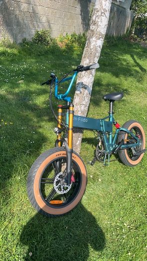 Fiido M1 Pro ebike