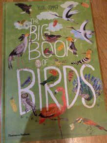 Big bird & bug kids books