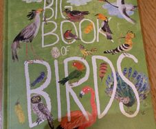 Big bird & bug kids books