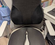 Feagar Seat Cushions for Office Chair - Orthopedic Ergonomic Memory Foam Coccyx Seat Sciatica Cushion and Feagar Lumbar Pillows Back Support Cushions Memory Foam Pillows for Car Seat Office Chair Home Sofa or Couch, Low Back Pillow Chair Cushions with Ext