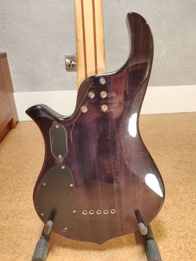 Traben Phoenix 5-String Bass + Original Traben Hard Case