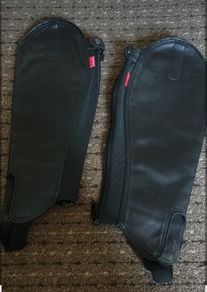 horse riding half chaps