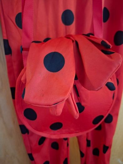 Miraculous Ladybug Costume