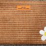 Daisy Marc Jacobs Accessory / Make up/ Toiletry / Pencil Pouch Woven Bag and Marc Jacobs Hard Case Glasses Holder Image 2
