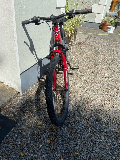Trek kids mountain bike