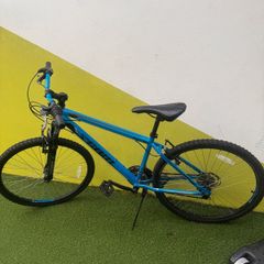 Team bike