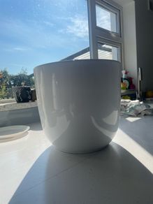 pot