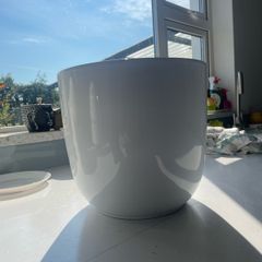 pot