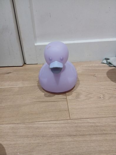 duck toy
