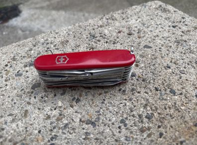 swiss champ