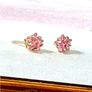 BN White Gold Pink Sapphire Star Studs Image 4