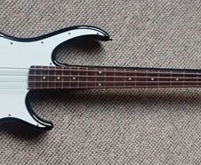 Peavey Zodiac EX