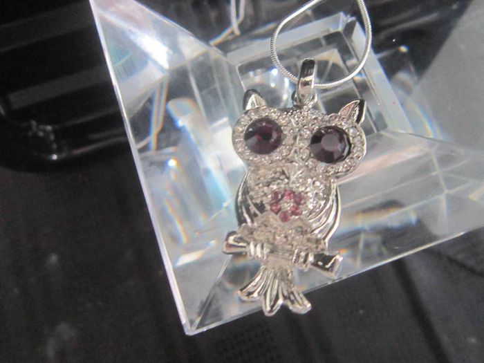 Cute Owl Pendant and Chain