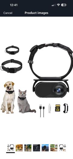 Cat Camera