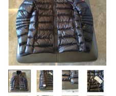 canada goose