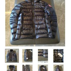 canada goose
