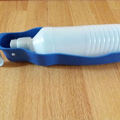 Water bottle for pet