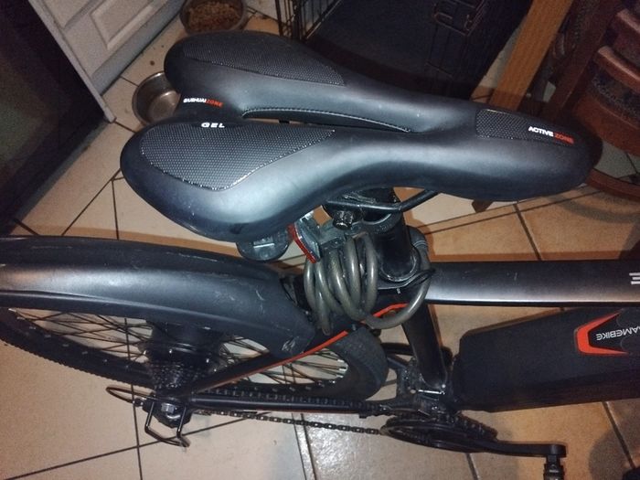 Electric bike