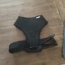 Zoofari dog harness Size L black Image 2