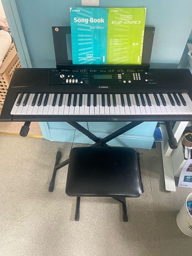 Yamaha ez 220 lightup keys