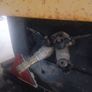 Air Compressor Image 2