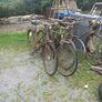 Vintage Bicycles Image 6