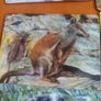 Australian Animals Placemats Image 5