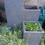 pots x 2 with plants Image 2