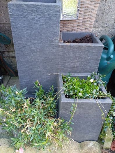 pots x 2 with plants