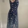 dress Bnwt Paisie occasion wear dress size 10 Image 6