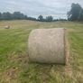 Round bales of Hay Image 2